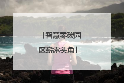 智慧零碳园区崭露头角