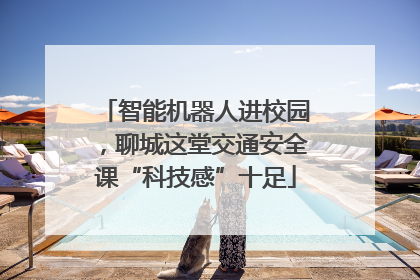 智能机器人进校园，聊城这堂交通安全课“科技感”十足