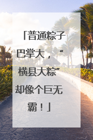 普通粽子巴掌大，“横县大粽”却像个巨无霸！