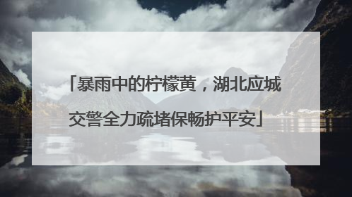 暴雨中的柠檬黄，湖北应城交警全力疏堵保畅护平安