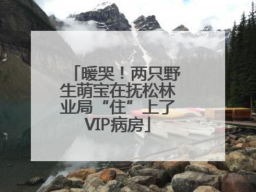 暖哭！两只野生萌宝在抚松林业局“住”上了VIP病房
