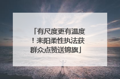 有尺度更有温度！耒阳柔性执法获群众点赞送锦旗