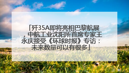歼35A即将亮相巴黎航展，中航工业沈阳所首席专家王永庆接受《环球时报》专访：未来数量可以有很多