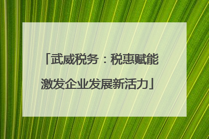 武威税务：税惠赋能 激发企业发展新活力