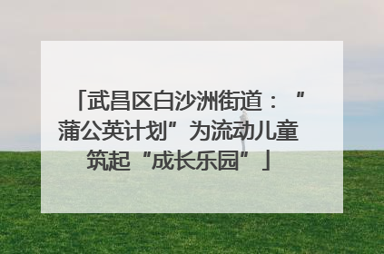 武昌区白沙洲街道：“蒲公英计划”为流动儿童筑起“成长乐园”