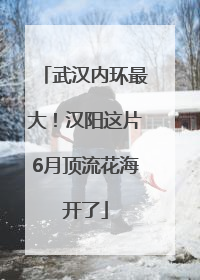 武汉内环最大！汉阳这片6月顶流花海开了