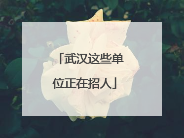 武汉这些单位正在招人