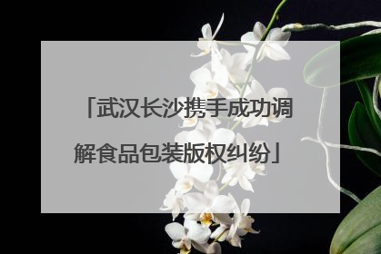 武汉长沙携手成功调解食品包装版权纠纷