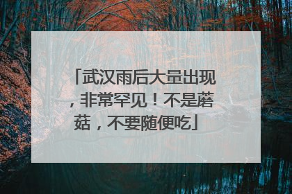 武汉雨后大量出现，非常罕见！不是蘑菇，不要随便吃