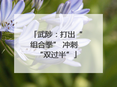武陟：打出“组合拳” 冲刺“双过半”