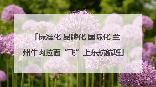 标准化 品牌化 国际化 兰州牛肉拉面“飞”上东航航班