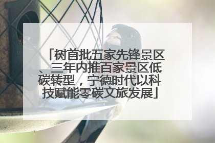 树首批五家先锋景区、三年内推百家景区低碳转型，宁德时代以科技赋能零碳文旅发展