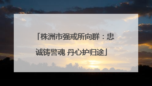 株洲市强戒所向群：忠诚铸警魂 丹心护归途