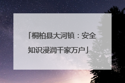 桐柏县大河镇：安全知识浸润千家万户