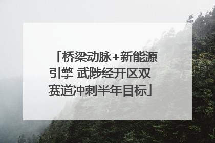 桥梁动脉+新能源引擎 武陟经开区双赛道冲刺半年目标