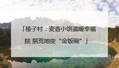 楼子村：麦香小饼温暖幸福院 撂荒地变“金饭碗”