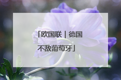 欧国联｜德国不敌葡萄牙