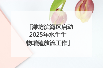 潍坊滨海区启动2025年水生生物增殖放流工作