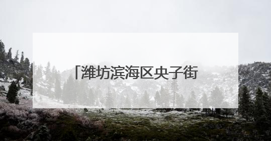 潍坊滨海区央子街道多措并举全力护航粮食丰产丰收