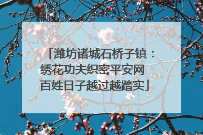 潍坊诸城石桥子镇：绣花功夫织密平安网 百姓日子越过越踏实