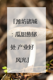 潍坊诸城：瓜甜葱郁处 产业好风光