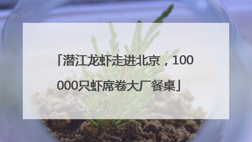 潜江龙虾走进北京，100000只虾席卷大厂餐桌