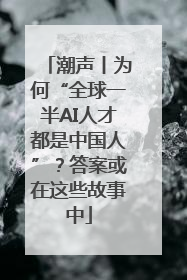 潮声丨为何“全球一半AI人才都是中国人”？答案或在这些故事中