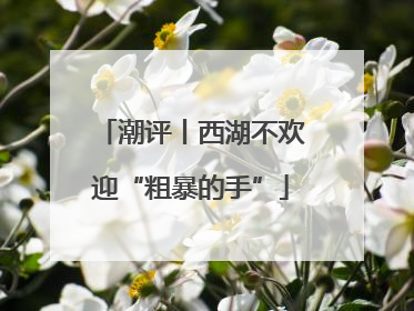 潮评丨西湖不欢迎“粗暴的手”