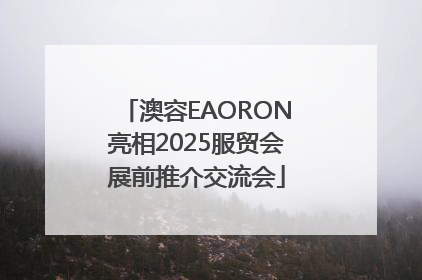 澳容EAORON亮相2025服贸会展前推介交流会