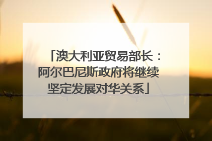 澳大利亚贸易部长：阿尔巴尼斯政府将继续坚定发展对华关系