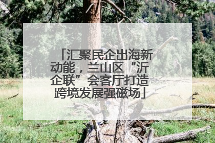 汇聚民企出海新动能，兰山区“沂企联”会客厅打造跨境发展强磁场
