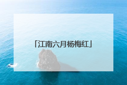 江南六月杨梅红