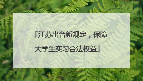 江苏出台新规定，保障大学生实习合法权益