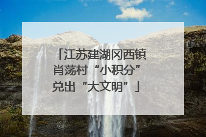 江苏建湖冈西镇肖荡村“小积分”兑出“大文明”