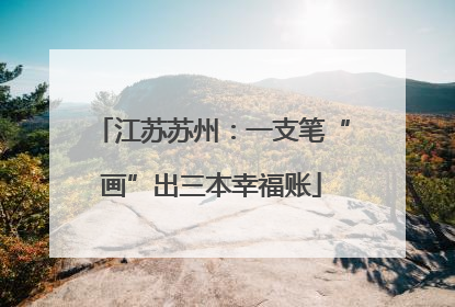 江苏苏州：一支笔“画”出三本幸福账