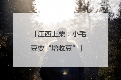 江西上栗：小毛豆变“增收豆”