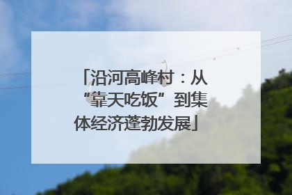 沿河高峰村：从“靠天吃饭”到集体经济蓬勃发展
