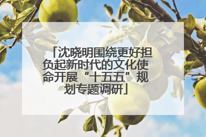 沈晓明围绕更好担负起新时代的文化使命开展“十五五”规划专题调研