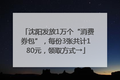 沈阳发放1万个“消费券包”，每份3张共计180元，领取方式→