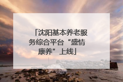 沈阳基本养老服务综合平台“盛情康养”上线
