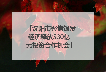 沈阳市聚焦银发经济释放530亿元投资合作机会