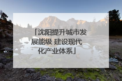 沈阳提升城市发展能级 建设现代化产业体系