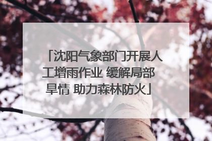 沈阳气象部门开展人工增雨作业 缓解局部旱情 助力森林防火