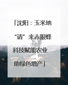 沈阳：玉米地“请”来赤眼蜂 科技赋能农业助绿色增产