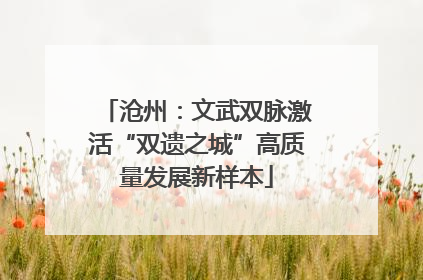 沧州：文武双脉激活“双遗之城”高质量发展新样本