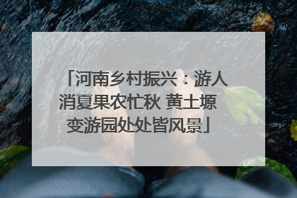河南乡村振兴：游人消夏果农忙秋 黄土塬变游园处处皆风景
