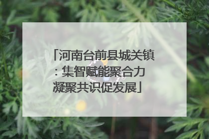 河南台前县城关镇：集智赋能聚合力 凝聚共识促发展