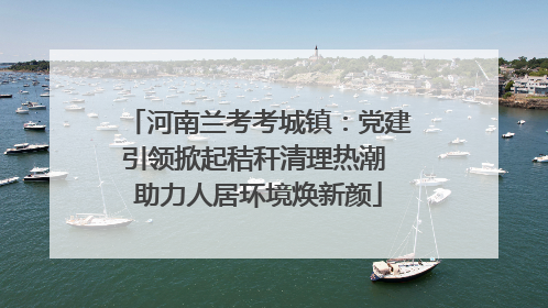 河南兰考考城镇：党建引领掀起秸秆清理热潮 助力人居环境焕新颜