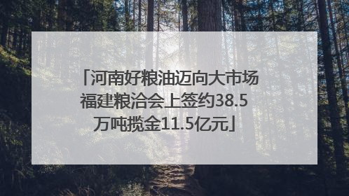 河南好粮油迈向大市场 福建粮洽会上签约38.5万吨揽金11.5亿元