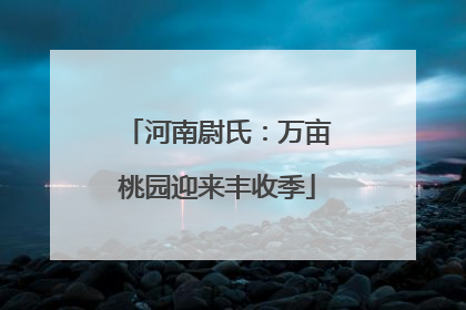 河南尉氏：万亩桃园迎来丰收季